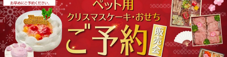 ��B�̖�������ŁI�C�I����B�I�����C���̐l�C�O�����E�M�t�g���W���T�C�g